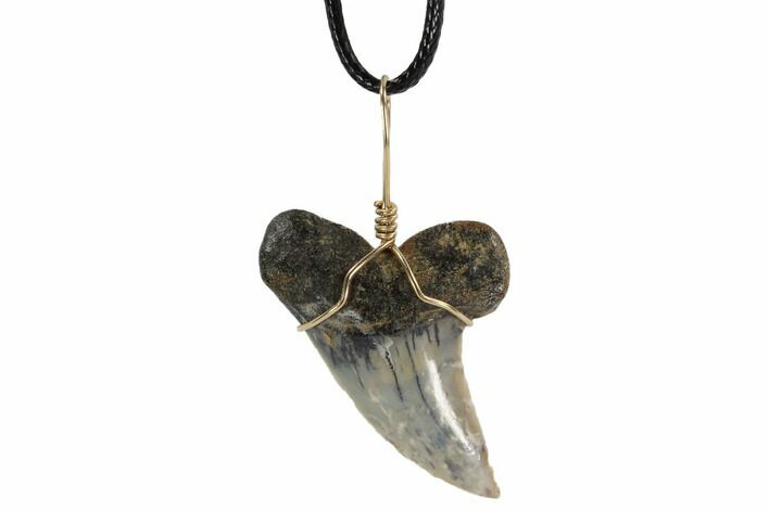 Fossil Mako Tooth Necklace - Bakersfield, California #95256
